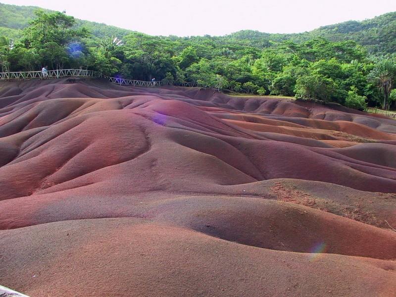 Tamaka tour in Mauritius